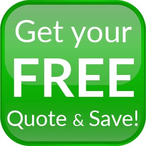 SEO Check-up Free Estimate SEO Check-up Free Estimate